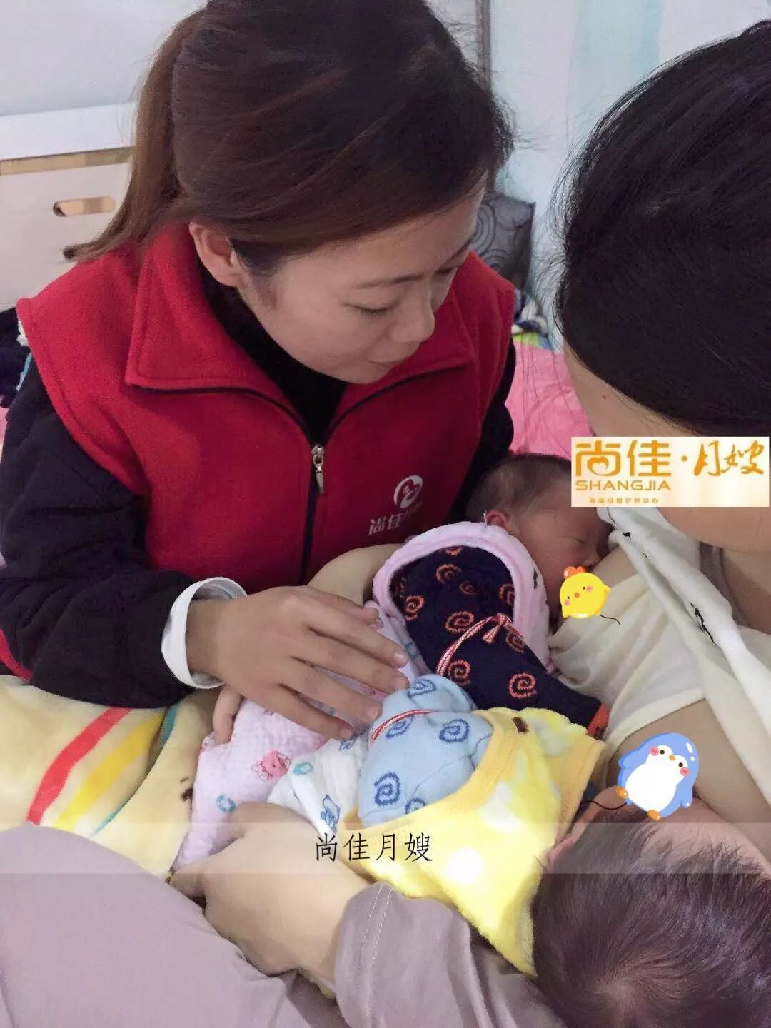 尚佳專業(yè)月嫂丨初生嬰兒需要吃多少？